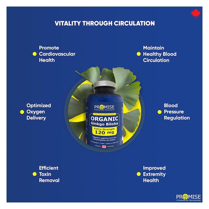30-4 Ginkgo Biloba Capsule